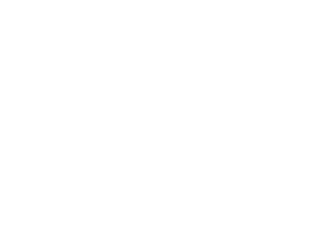 Festify